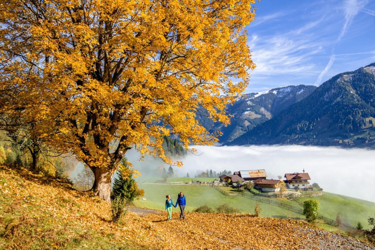 Alpine Appart Bad Hofgastein Exterior photo